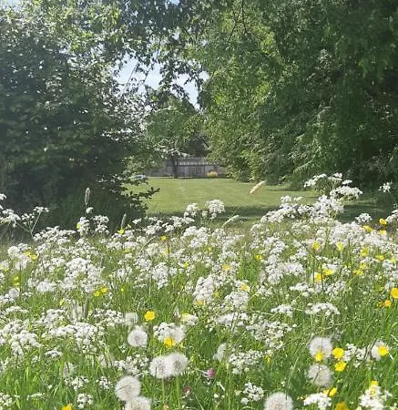 L'antre Parenthese De Sainte-cecile *