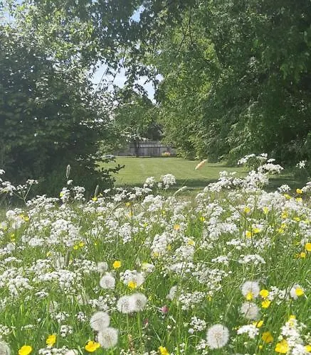 L'antre Parenthese De Sainte-cecile *
